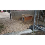 Дикая фауна - 09.jpg